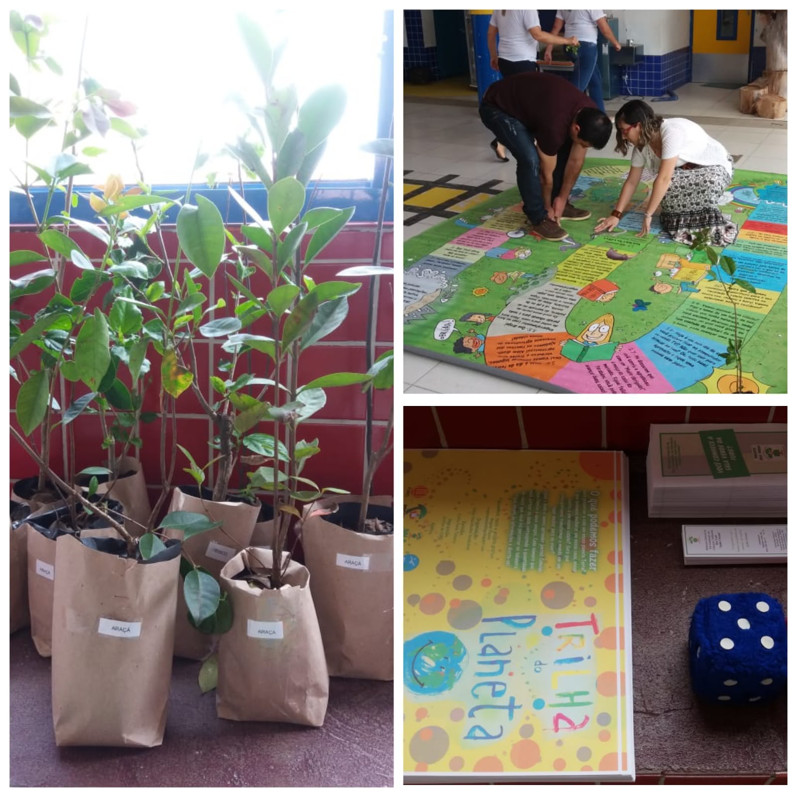 montagem com três fotos. A maior delas posicionada a esquerda são mudas de plantas, a foto da direita aparecem dois estagiários fazendo a montagem do jogo no chão. a foto direita inferior aparece os jogos que foram distribuidos, junto com os informativos da sala verde.