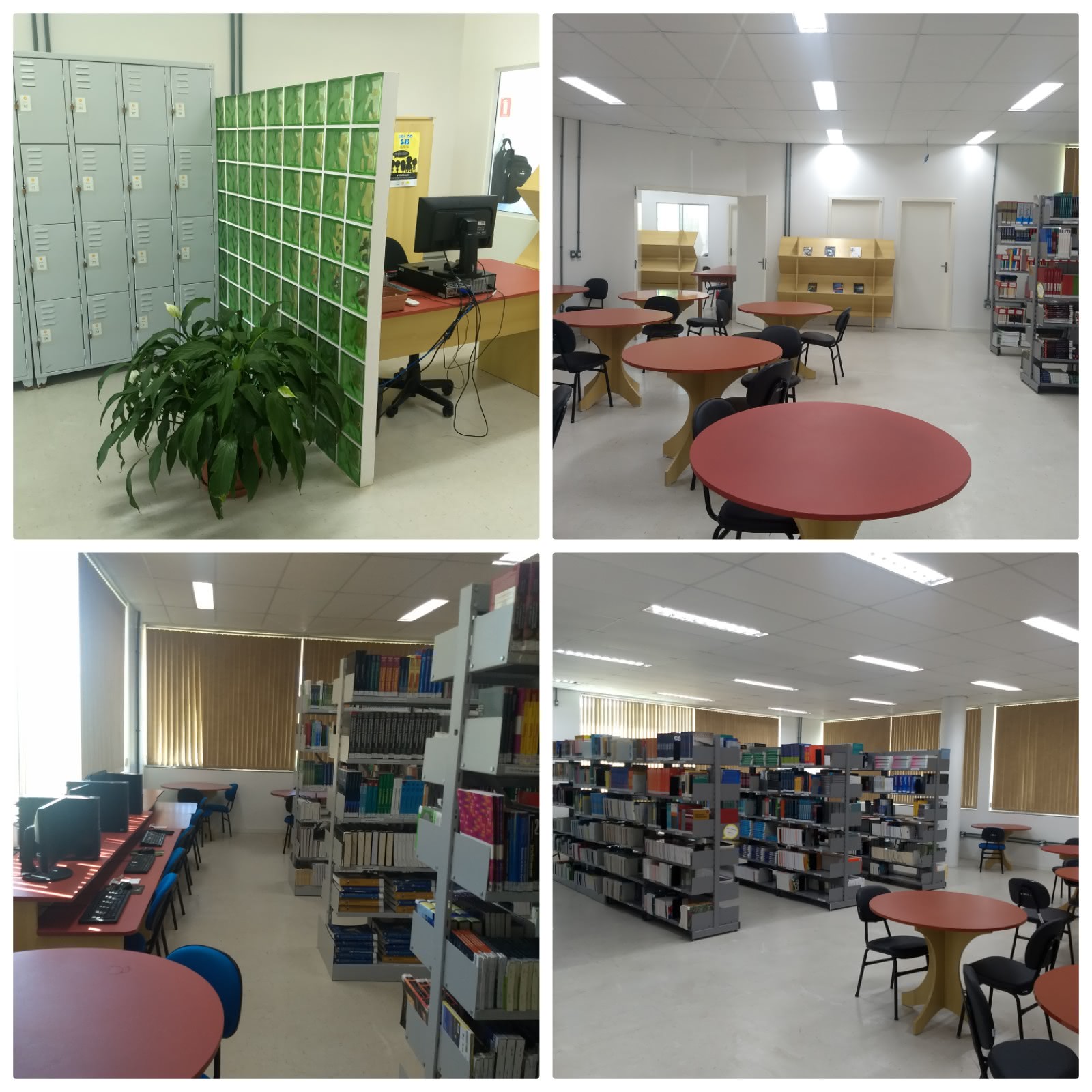 montagem com quatros fotos onde aparecem o ambiente interno da biblioteca, com estantes de livros, mesas com cadeiras, mesas com comuptadores para consulta, mesas de estudo, malex, mesa da atendente