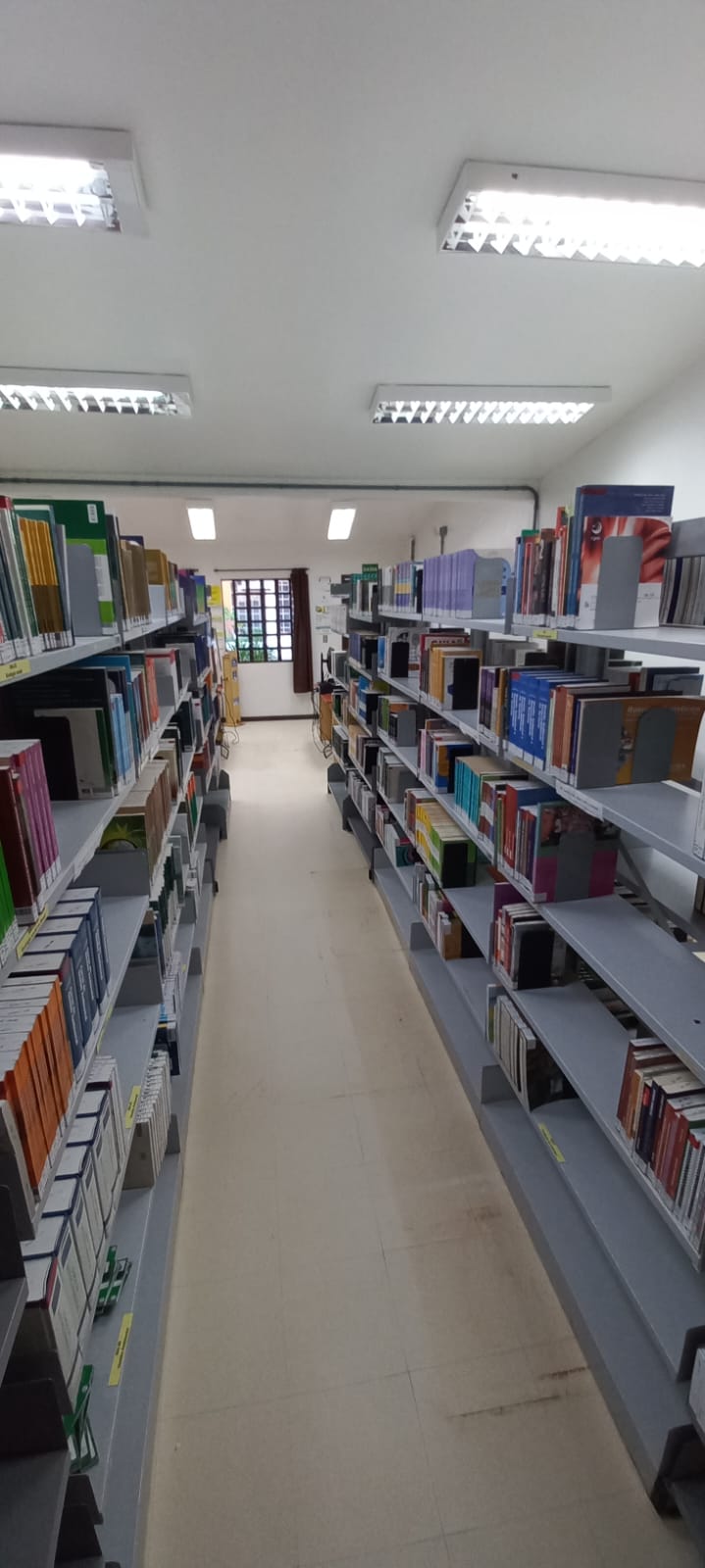 Novo layout Biblioteca São Lourenço do Sul
