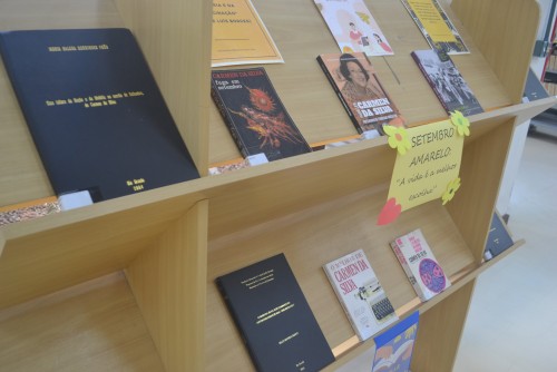 Livros da autora rio-grandina, Carmen da Silva, disponíveis na Biblioteca Central da FURG