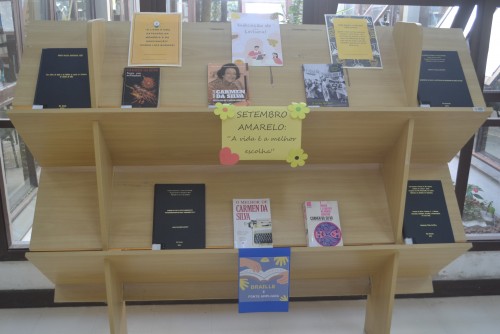 Livros da autora rio-grandina, Carmen da Silva, disponíveis na Biblioteca Central da FURG