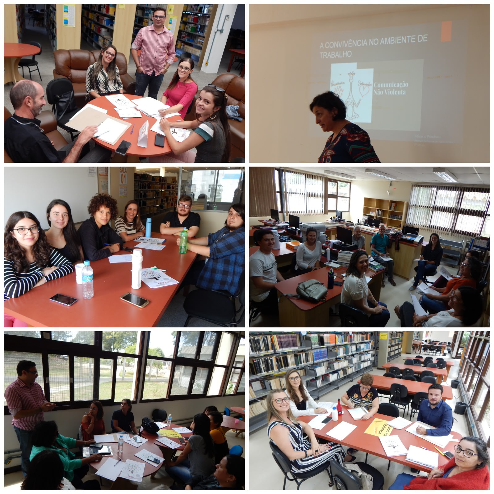 6 fotos posicionadas em duas colunas 3x3. aparecem as pessoas que participaram do treinamento sentadas outras em pé, fazendo anotações. Em uma das fotos aparece a palestrante com uma tela da palestra projetada ao fundo. Todos estão em ambientes com mesas e cadeiras e livros, no interior da biblioteca